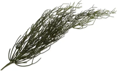 Produktbild von Hängepflanze Sukkulenten, künstlich, 116 cm, für Innenräume