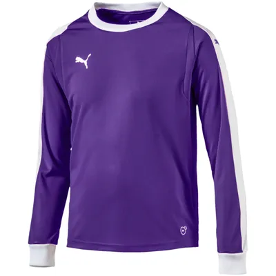 Produktbild von PUMA LIGA Torwarttrikot Kinder prism violet/puma white 164