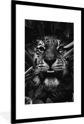 Produktbild von MuchoWow® Gerahmtes Poster Tiger zwischen den Pflanzen - schwarz und weiß 60x90 cm - Poster mit Schwarzem Bilderrahmen Wandposter Rahmen Foto Bilder - Dekoration - Wandposter Wohnzimmer - Hochwertig