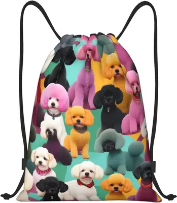 Immagine prodotto di Borsa a coulisse - Zaino da palestra - Sport e viaggi - Poliestere leggero - 42 x 50 cm - Nero