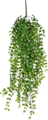 Zdjęcie produktu dla Sztuczna roślina wisząca Mica Decorations Ficus - wys. 81 cm - zielona