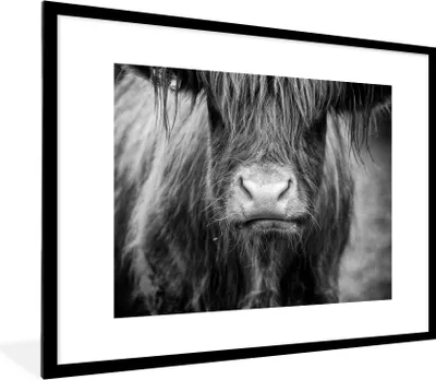 Produktbild von MuchoWow® Gerahmtes Poster Schottischer Highlander - Haare - Tiere 80x60 cm - Poster mit Schwarzem Bilderrahmen Wandposter Rahmen Foto Bilder - Schlafzimmer-Dekorationen - Fotoposter
