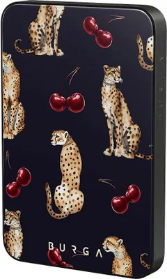 Produktbild von BURGA Cougar Gunmetal Magnetische Power Bank, 5000 mAh