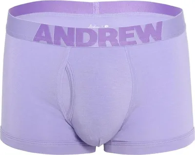 Zdjęcie produktu dla Andrew Christian Bespoke Modal Boxer Lavender - Größe L