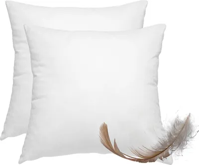 Produktbild von "premium-line" 2er Set Feder- & Daunenkissen 85% Federn 15% Daunen 45x45 - 500 g Füllkissen Bezug Baumwolle weiß / Innenkissen / Füllkissen / Kissenfüllung / kleine Sofakissen