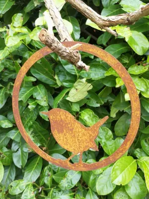 Immagine prodotto di Uccello in anello in acciaio inossidabile, scricciolo