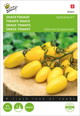 Produktbild von Snacktomate Dattolime F1 | Snacktomatensamen von Buzzy Seeds