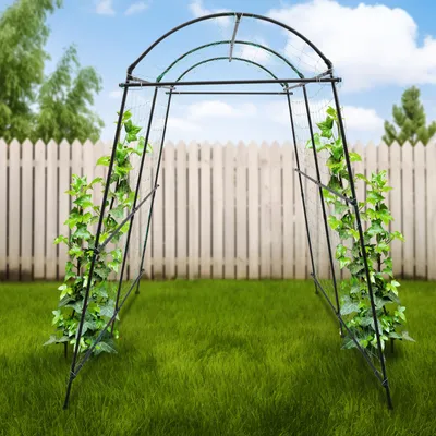 Image de Tunnel de support pour plantes - Largeur réglable de 1,1 à 1,8 mètres - Hauteur de 230 cm - Structure en métal noir - Support pour jardin