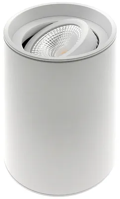 Productafbeelding van Opbouwspot Viggo 1x GU10 - wit