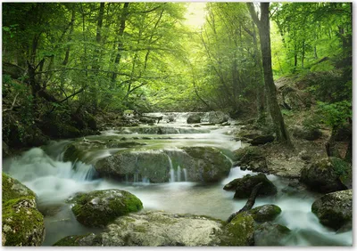 Produktbild von Tulup® Glas-Bild - 100 x 70 - Wandbild aus Glas - Wandkunst - Wandbild hinter gehärtetem Sicherheitsglas - Landschaften - Wasserfall im Wald - Grün