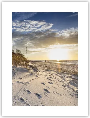 Produktbild von Poster - Poster ohne Rahmen - Sand Gras Meer - 30x40 cm - Wand Bild - Wanddeko - Wandbilder - Kunstposter - Wandposter - Bilder - Kunstdruck - Wanddekoration - Wandbild - P2XPA30x40-4781