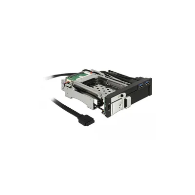 Productafbeelding van Delock 47209 DELOCK Wechselrahmen 5,25" für 2,5"/3,5" SAS/SATA HDD