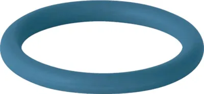 Produktbild von Geberit GE Mapress Dichtring, FKM, blau, d22mm, 1 Stk.