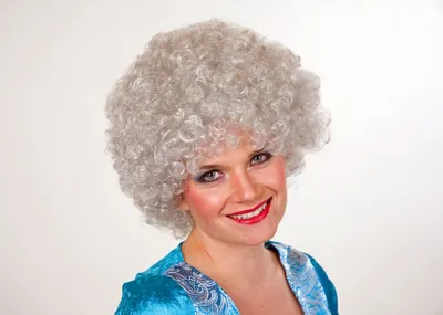 Produktbild von HAIR Perücke Afrolook Karneval Fasching lockig, Perücken:silber