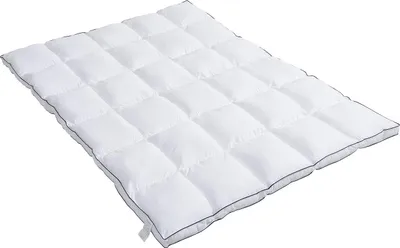 Produktbild von Anti-Milben-Matratzenauflage für 2 Personen - 140 x 200 cm - Satinbezug 120 Fäden/cm2 - Füllung 1000 g/m2 - Weiß mit blauem Rand - Marke PRESTIGIA by Palacio