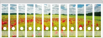 Produktbild von Wallario Ordnerrücken Sticker, selbstklebend für breite Ordner, 12 Stück, Motiv Grüne Wiese mit Mohnblumen
