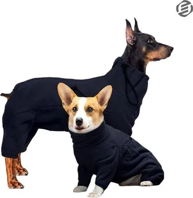 Image de Peignoir pour chien en polaire douce, pour petits chiens