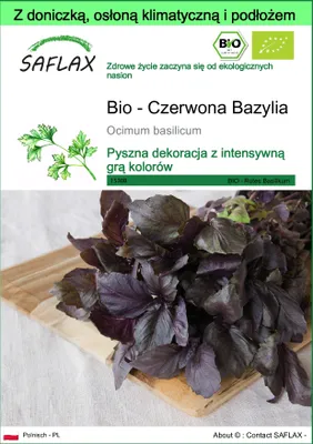 Zdjęcie produktu dla SAFLAX - Garden to go - Bio - Czerwona Bazylia - 400 Nasiona - Z doniczką, pokrywą klimatyczną i podłożem do uprawy - Ocimum basilicum