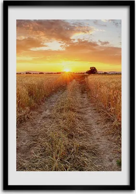 Produktbild von Bild - Bilderrahmen - Foto - 70 cm x 100 cm - MDF - Rahmen - Wandkunst - Weizenfeld