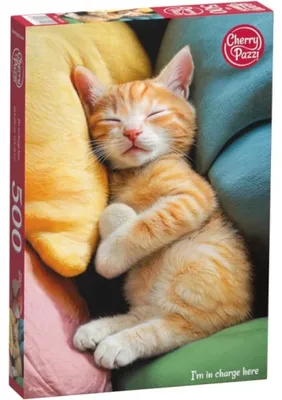 Zdjęcie produktu dla Puzzle 500 CherryPazzi I'm in charge here 20456