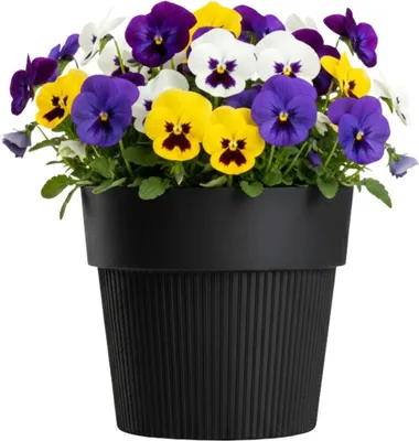 Immagine prodotto di HowHomely | Vaso da fiori - Fioriera - 12x14 cm - nero - realizzato con materiale riciclato - Struttura scanalata - Vaso da fiori