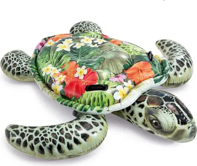 Produktbild von Schildkröten-Schwimmspielzeug 191 x 170 cm INTEX 57555
