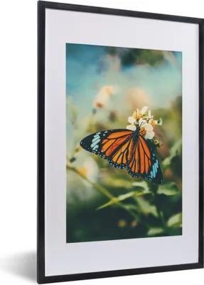 Produktbild von MuchoWow® Gerahmtes Poster Schmetterling - Blumen - Garten 40x60 cm - Poster mit Schwarzem Bilderrahmen Wandposter Rahmen Foto Bilder - Poster in Rahmen