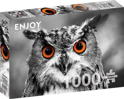小物 sososoi ENJOY Puzzle Neonowa Sowa 1000 elementów Puzzle klasyczne