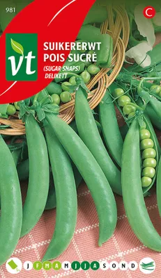 Immagine prodotto di Semi di piselli Delicatessen - 40 gr circa | VT_981