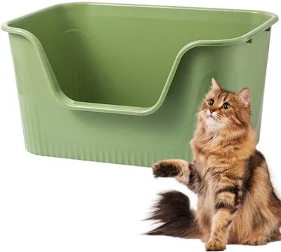 Produktbild von Ibenzoa® Katzentoilette – robustes Katzenklo mit hohen Wänden und niedrigem Einstieg, PP-Kunststoff, 45 × 36 × 22,5 cm, Grün, für Katzen bis 6 kg