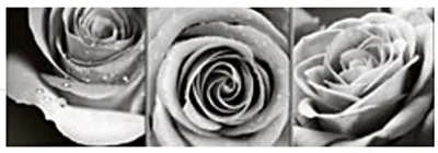 Immagine prodotto di Tela 20X60 Trio Rose