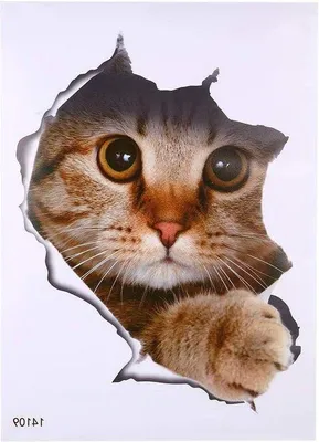 Produktbild von Wasserfeste Katzen Hund Wandsticker Badezimmer Dekoration