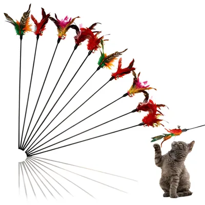 Image de 10 jouets pour chat, canne à plumes avec des plumes colorées