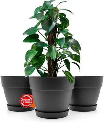 Zdjęcie produktu dla Zestaw 3 podstawek pod doniczki, okrągłe, średnica 35 cm, kolor antracyt. Doniczki do użytku wewnątrz i na zewnątrz