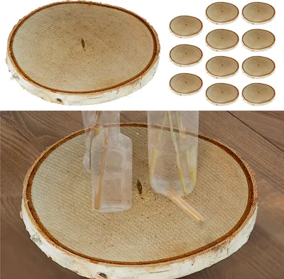Produktbild von Baumscheibe 12er Set Birke Ø12x1cm Holzscheibe Naturprodukt Scheibe Holz Holzplatte Dekoelement