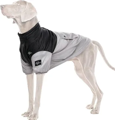 Produktbild von Warme Winterjacke für Hunde, Fleeceweste, grau