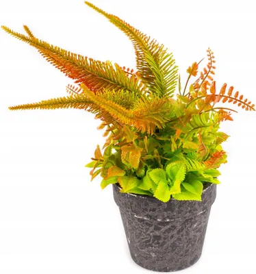 Produktbild von Künstlicher Farn im Topf 26cm - Realistische Kunstpflanze - Pflegeleichte Deko