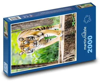 Obrázek produktu pro martinpuzzle - Puzzle 2000 - Tygr v lese