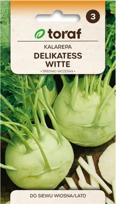 Produktbild von Kohlrabi DELIKATESS WITTE 2g