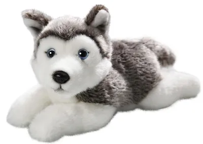 Zdjęcie produktu dla Carl Dick husky leżący, pies, ok. 20 cm 2154008 przytulanka, miękka zabawka, przytulanka