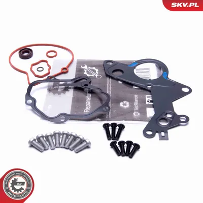Produktbild von ESEN SKV Reparatursatz Unterdruckpumpe (Bremsanlage) 18SKV801 für VW Golf IV Schrägheck (1J1) 0,11kg