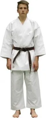 Produktbild von Karateanzug Bushindo Kata Größe - 200