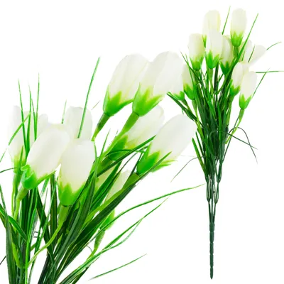 Immagine prodotto di Cv27023-1 Croco Bianco