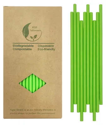 Image de Pailles en papier vertes, 19,7 cm, 100 pièces, biodégradables