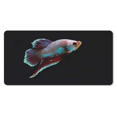 Produktbild von MuchoWow® Mauspad Mousepad Fische - Tiere - Licht 60x30 cm - Mousepads - Maus Mat - Pad - Mausunterlage - Nachhaltig