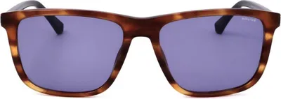 Produktbild von Police Sonnenbrille SPLE05 09N3 57 17 145