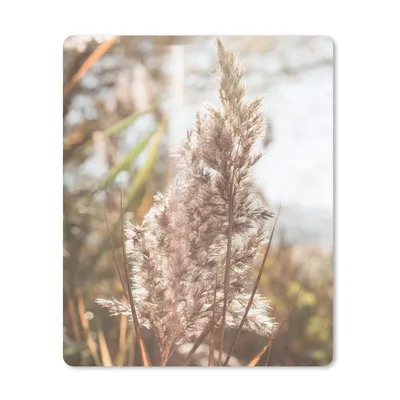 Produktbild von MuchoWow® Mauspad Mousepad Schilf - Sonne - Pflanze 30x40 cm - Mousepads - Maus Mat - Pad - Mausunterlage - Mausmatten
