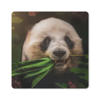 Produktbild von MuchoWow® Mauspad Mousepad Tiere - Panda - Dschungel 20x20 cm - Mousepads - Maus Mat - Pad - Mausunterlage - Desk Mat - Bureauartikeln