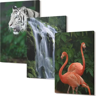 Produktbild von Wandbild – Leinwandbild – Leinwandbilder – Polycanvas – Kunstdruck – Modern – Panorama – Mehrteilig – 3-Teilig Set – Hochwertig – Lichtecht – Geruchslos – 20x30 Cm Je Element - Tiger-Wasserfall und rosa Flamingos in der Natur