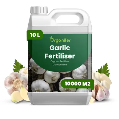 Obrázek produktu pro Cesnak Tekuté Hnojivo 10 L – 2-1-8 NPK – Pro Cesnak – Podporuje Bohatú Úrodu & Silný Růst – Organifer